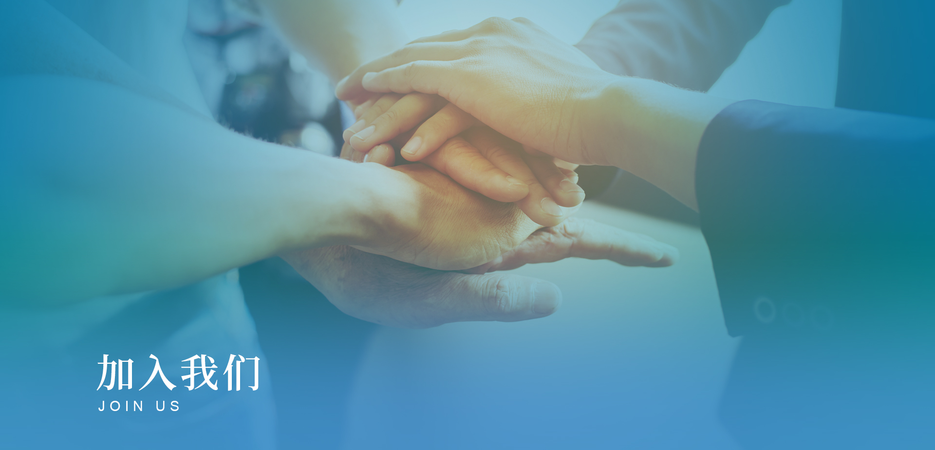 加入我们
